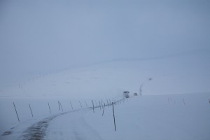 IMG_5895-01-600