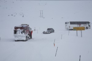 IMG_5903-01-600