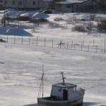 IMG_5946-01-cropped-600