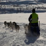 IMG_6026-01-600