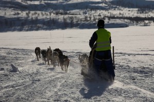IMG_6026-01-600