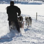 IMG_6030-01-600
