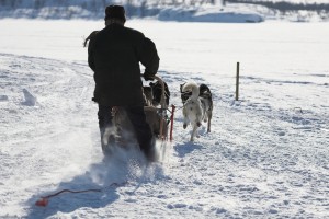 IMG_6030-01-600