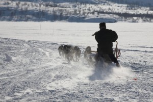IMG_6031-01-600