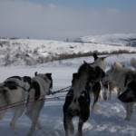 IMG_6081-01-600