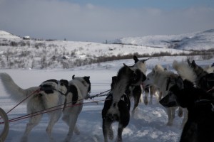 IMG_6081-01-600