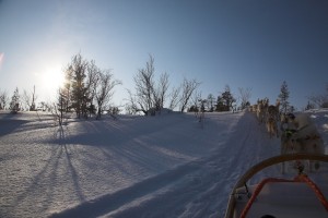 IMG_6153-01-600