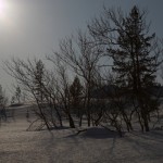 IMG_6154-01-600
