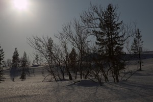 IMG_6154-01-600