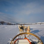 IMG_6160-01-600