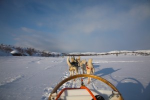 IMG_6160-01-600