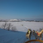 IMG_6172-01-600