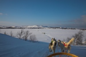IMG_6172-01-600