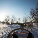 IMG_6173-01-600