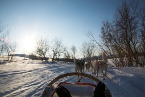 IMG_6173-01-600