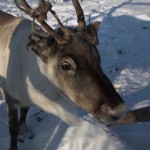 IMG_6174-01-600