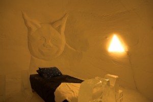 IMG_6225-01-600