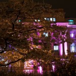 Kameha Suite Luminale 2010