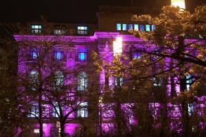 Kameha Suite Luminale 2010