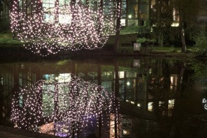 Luminale 2010 Alte Oper