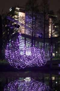 Luminale 2010 Alte Oper