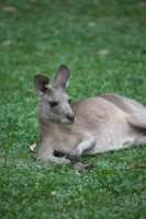 Christine-Ferdinand--Australia-IMG_7953-01