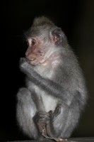 Christine-Ferdinand--Bali-IMG_1595-01