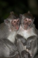 Christine-Ferdinand--Bali-IMG_1600-01