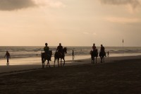 Christine-Ferdinand--Bali-IMG_3373-01
