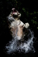 Christine-Ferdinand--IMG_7746-01