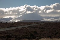 Christine-Ferdinand--New-Zealand-IMG_4004-01