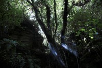 Christine-Ferdinand--New-Zealand-IMG_4704-01