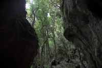 Christine-Ferdinand--New-Zealand-IMG_4742-01