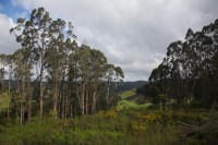 Christine-Ferdinand--New-Zealand-IMG_4905-01