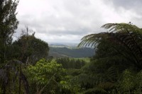 Christine-Ferdinand--New-Zealand-IMG_4911-01