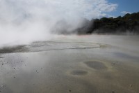 Christine-Ferdinand--New-Zealand-IMG_5426-01