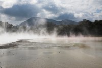 Christine-Ferdinand--New-Zealand-IMG_5427-01