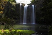 Christine-Ferdinand--New-Zealand-IMG_5838-01