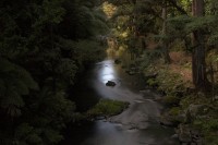 Christine-Ferdinand--New-Zealand-IMG_5844-01
