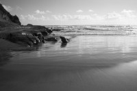 Christine-Ferdinand--New-Zealand-IMG_6420-01