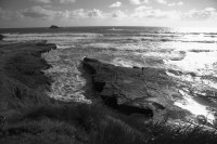 Christine-Ferdinand--New-Zealand-IMG_6446-01