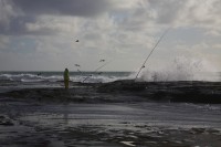 Christine-Ferdinand--New-Zealand-IMG_6485-01
