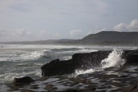 Christine-Ferdinand--New-Zealand-IMG_6497-01