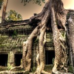 Christine-Ferdinand--Ta-Prohm-2