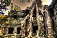 Christine-Ferdinand--Ta-Prohm-2