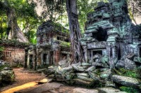 Christine-Ferdinand--Ta-Prohm