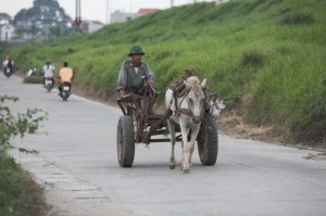 Christine-Ferdinand--Vietnam-IMG_9994-01