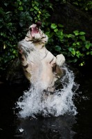 IMG_7746-01-res