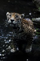 IMG_9074-01-res
